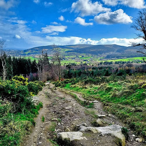 Horror Hike tour trail