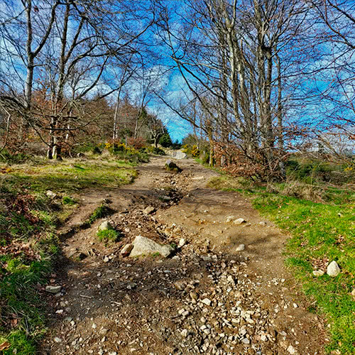 Horror Hike tour trail