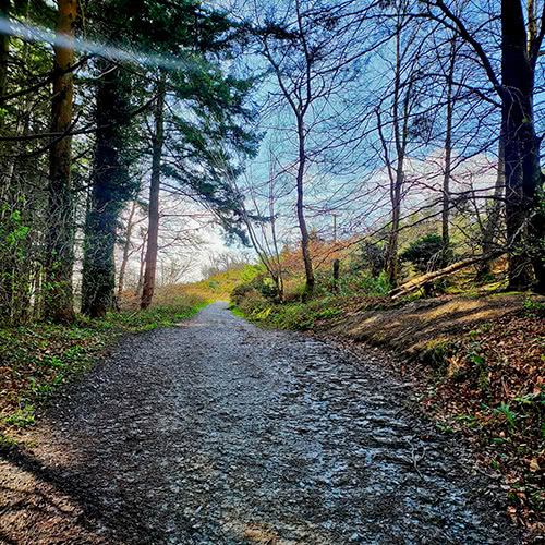 A path along the Horror Hike tour trail
