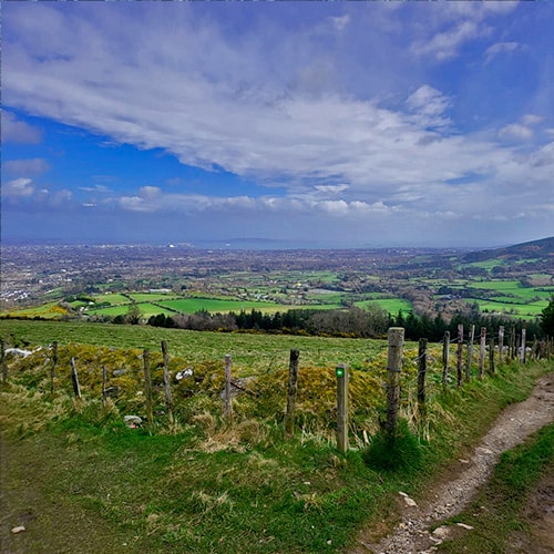 Dublin Mountains, along Horror Hike tour trail